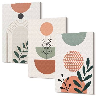 Sada 3 obrazov Rastlinné motívy v moderných tvaroch a farbách