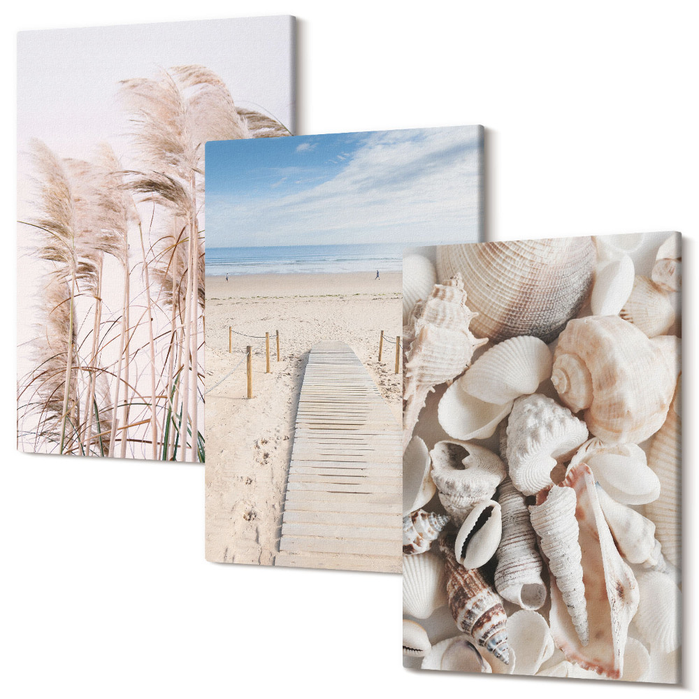 Sada 3 obrazov Piesočnatá pláž s mušľami a morskou trávou