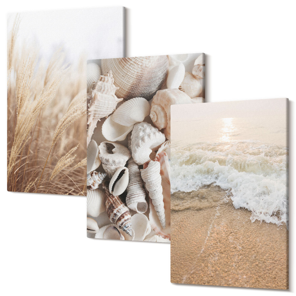 Sada obrazov na stenu triptych Plážové motívy s mušľami a morskými vlnami