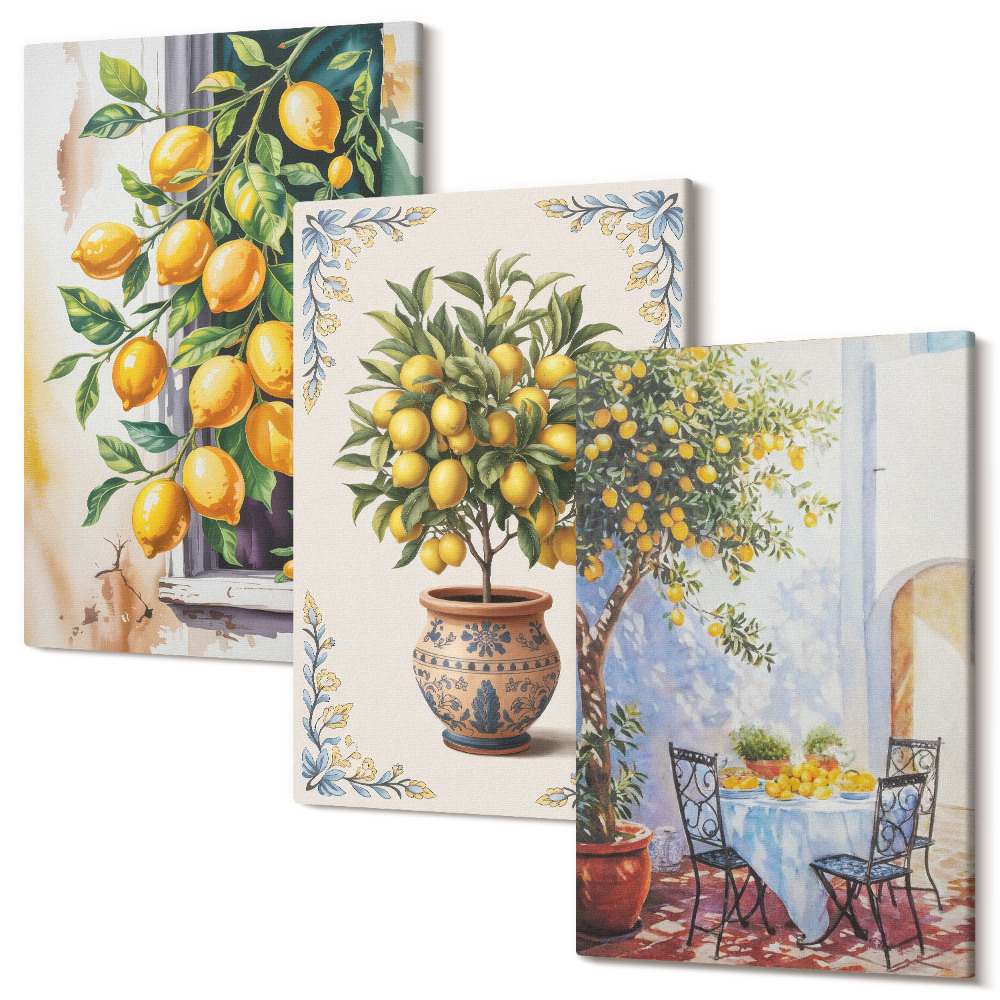 Sada obrazov na stenu triptych Citrónové stromy a ovocie v slnečnom prostredí