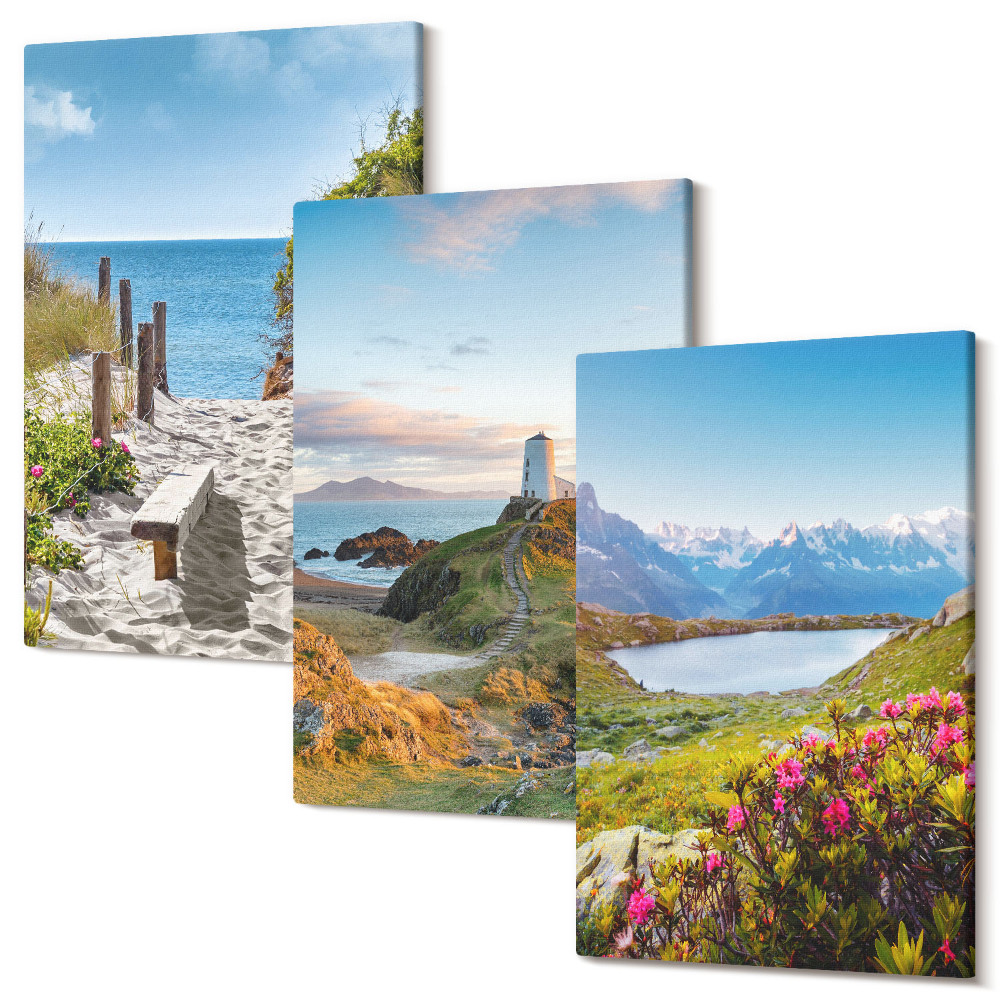 Sada obrazov na stenu triptych Pohľad na pláž s majákom, hory a kvety