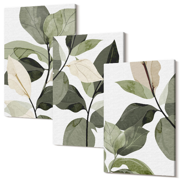 Sada 3 obrazov Maľované jemné listy boho rastlín
