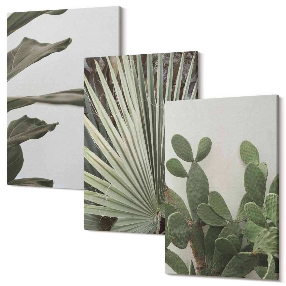 Sada 3 obrazov Listy tropických rastlín v pastelových farbách