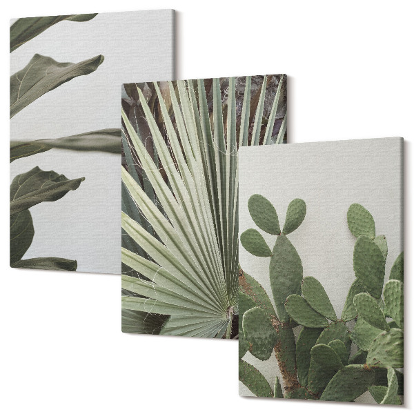 Sada 3 obrazov Listy tropických rastlín v pastelových farbách