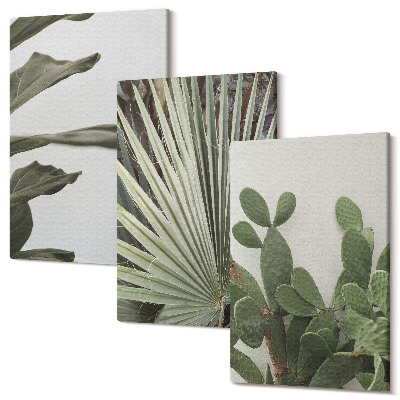 Sada 3 obrazov Listy tropických rastlín v pastelových farbách
