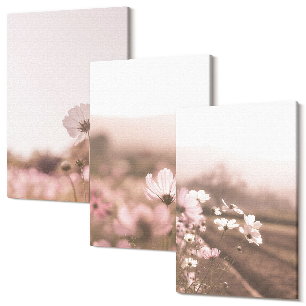 Sada 3 obrazov Poľné kvety na lúkach v lete, romantická krajina