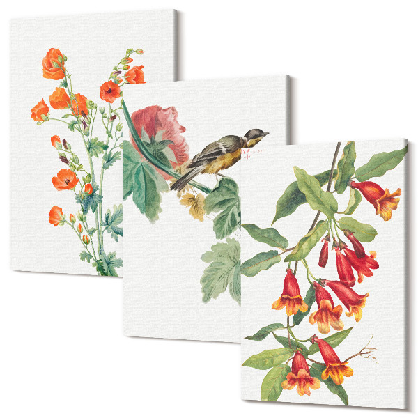 Sada 3 obrazov Maľované retro kvety a vtáčik na konári