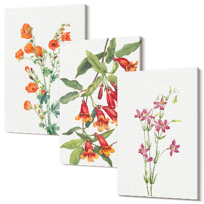 Sada obrazov triptych Vintage retro maľba kvetov