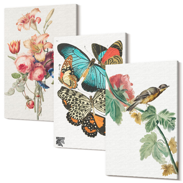 Sada 3 obrazov Kvety, motýle a vtáčik v pastelových odtieňoch