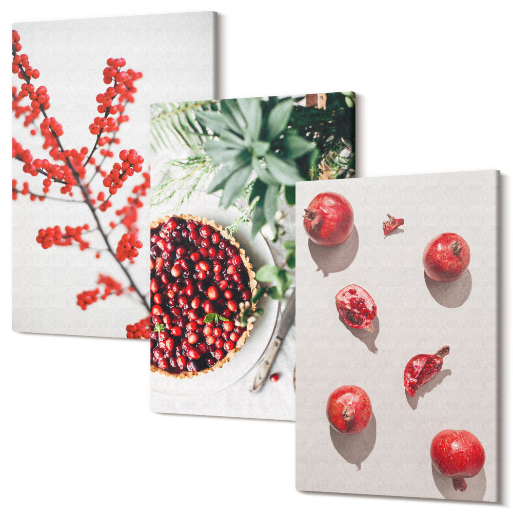 Sada 3 obrazov Červené ovocie a rastliny v minimalistickom štýle