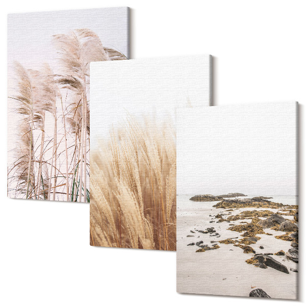 Sada obrazov na stenu triptych Pampas trávnaté polia a boho pláž