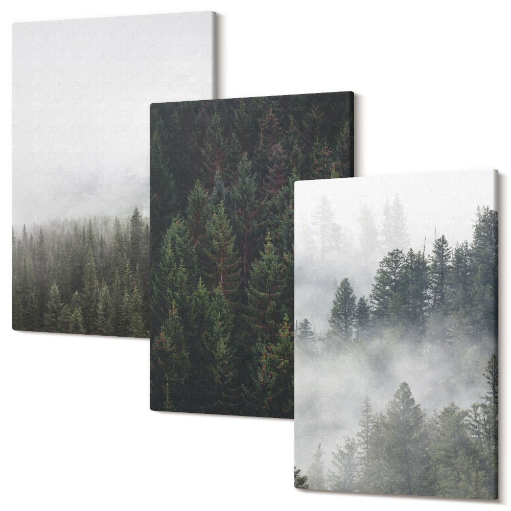 Sada obrazov na stenu triptych Zelené lesy v hmlistom prírodnom prostredí