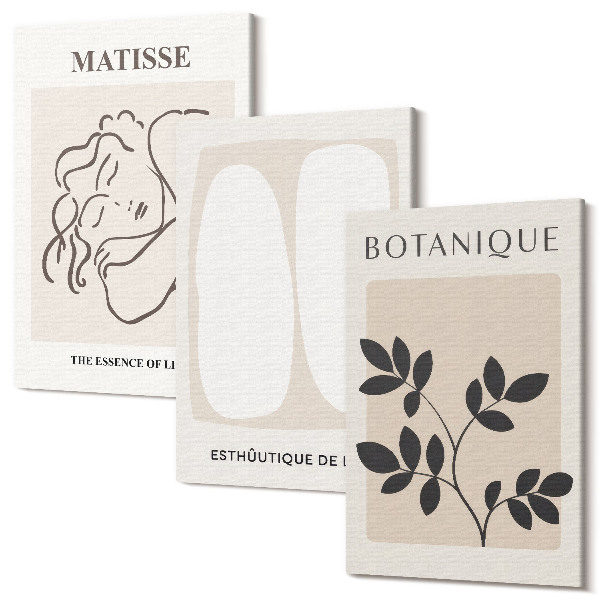 Sada 3 obrazov Štýlové minimalistické obrazy s rastlinnými motívmi od Matisse
