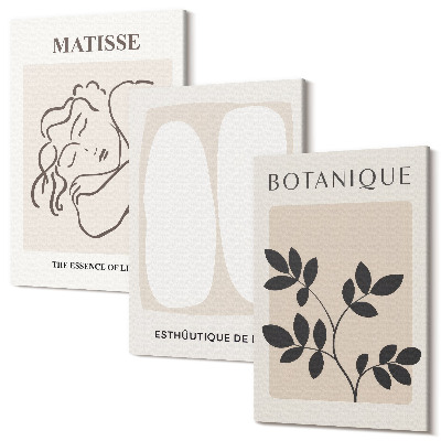 Sada 3 obrazov Štýlové minimalistické obrazy s rastlinnými motívmi od Matisse