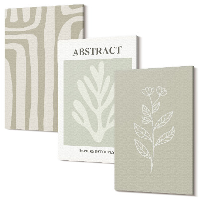 Sada 3 obrazov Abstraktné rastlinné vzory v tlmených farbách