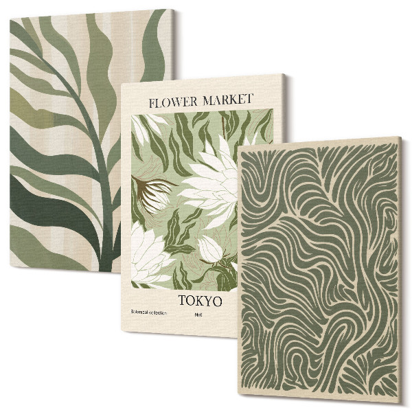 Sada obrazov triptych Rastlinné vzory, botanické dekorácie, boho štýl