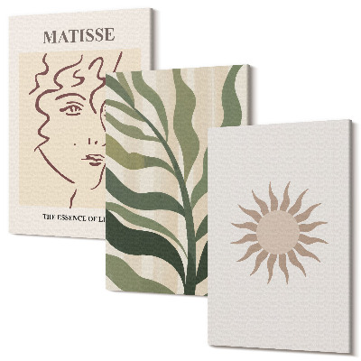 Sada obrazov na stenu triptych Abstraktné rastlinné vzory a línie v tlmených farbách