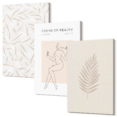 Sada 3 obrazov Minimalistické motívy botanického dizajnu