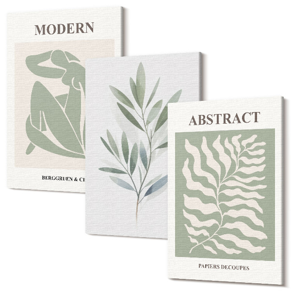 Sada 3 obrazov Matisse dizajn akvarel boho rastliny