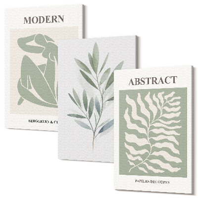 Sada 3 obrazov Matisse dizajn akvarel boho rastliny