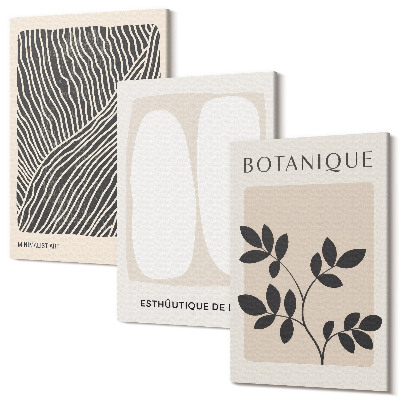 Sada obrazov triptych Kvetinové vzory a minimalistické línie v neutrálnych farbách