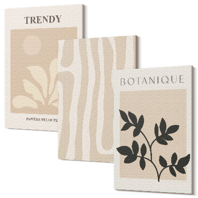 Sada obrazov na stenu triptych Štýlové rastlinné vzory v odtieňoch béžovej a čiernej