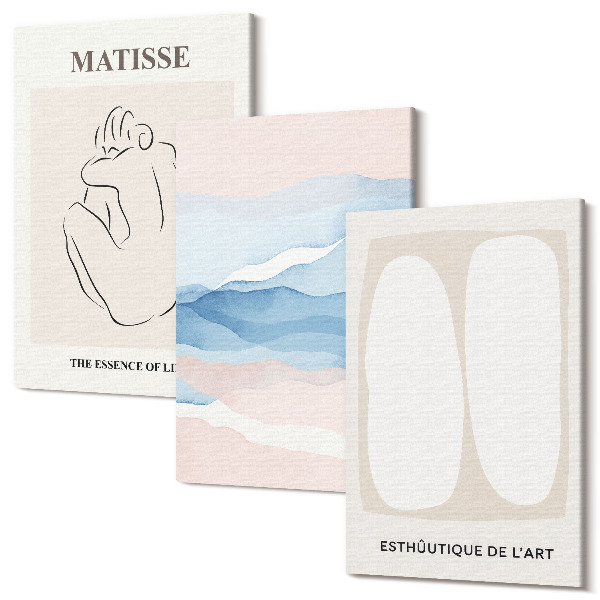 Sada 3 obrazov Matissove abstraktné formy a jemné farby