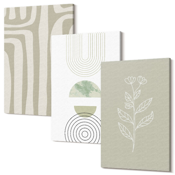 Sada obrazov na stenu triptych Geometrické vzory s rastlinnými akcentmi v odtieňoch zelenej