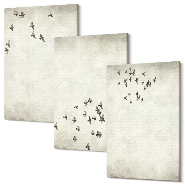 Sada obrazov triptych Minimalistický obraz lietajúcich vtákov