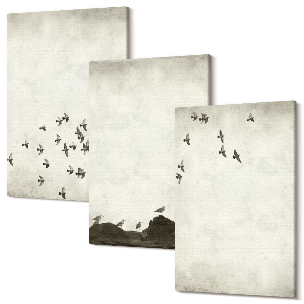 Sada 3 obrazov Vtáky v lete maľované v minimalistickom štýle