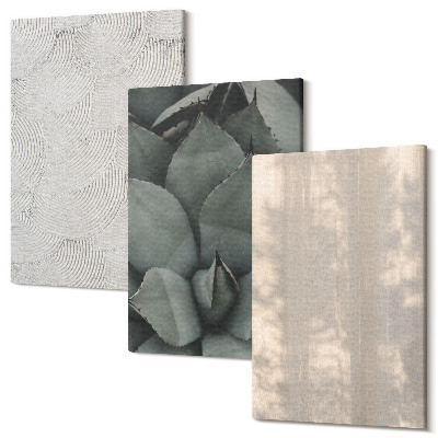 Sada obrazov na stenu triptych Letné textúry zblízka v tropickom podnebí