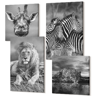Sada obrazov kvadryptych Divoké zvieratá lev jaguár žirafa a zebry