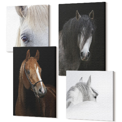 Sada 4 obrazov Portréty koní v rôznych odtieňoch srsti