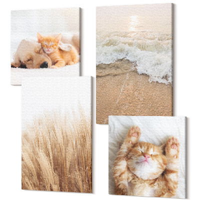 Sada obrazov na stenu kvadryptych Roztomilé zvieratká mačky pes pláž tráva boho