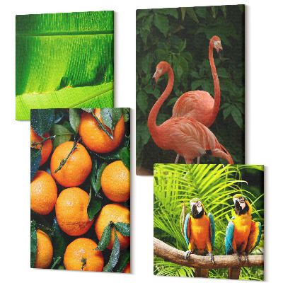 Sada obrazov na stenu kvadryptych Ovocné akcenty s papagájmi a plameniakmi v trópoch