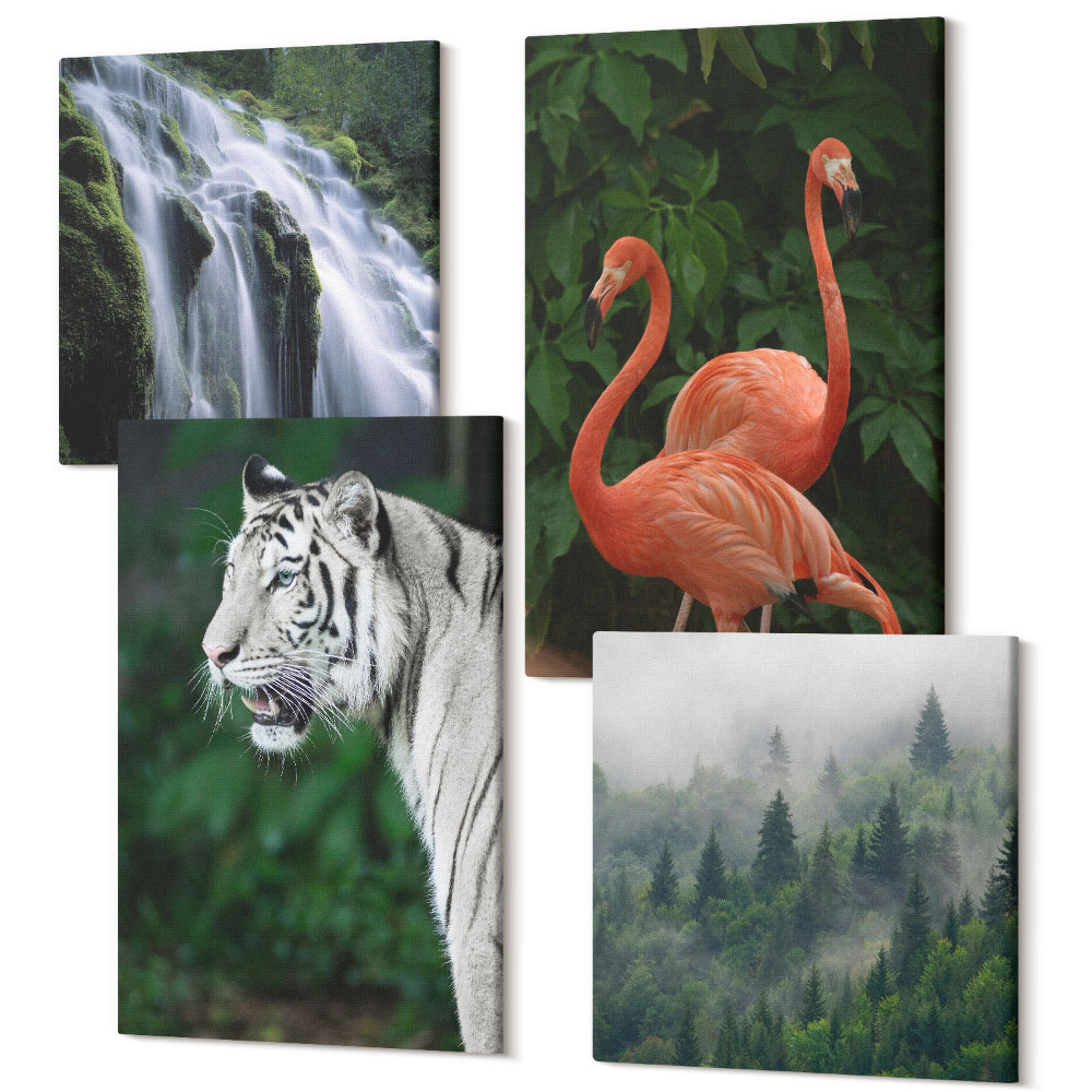 Sada 4 obrazov Tigrí vodopád a ružové plameniaky v prírode