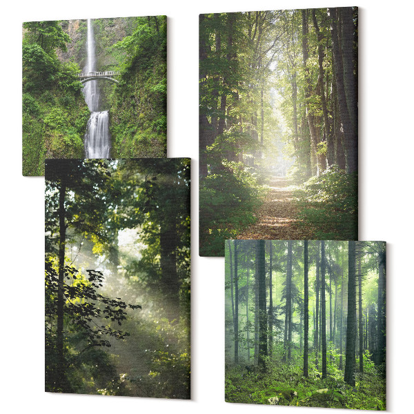 Sada obrazov na stenu kvadryptych Zelené lesy s lúčmi svetla a lesná cesta
