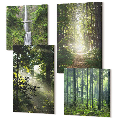 Sada obrazov na stenu kvadryptych Zelené lesy s lúčmi svetla a lesná cesta