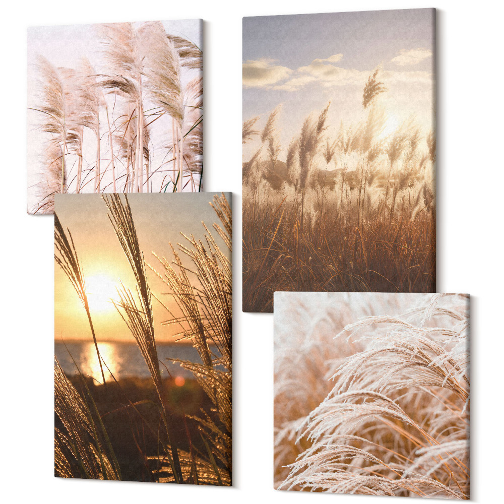 Sada 4 obrazov Jemné boho trávnaté polia pri západe slnka