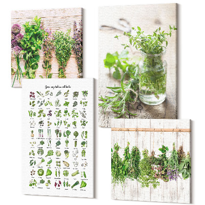Sada 4 obrazov Sušené rastliny na zoznam kuchynských bylín