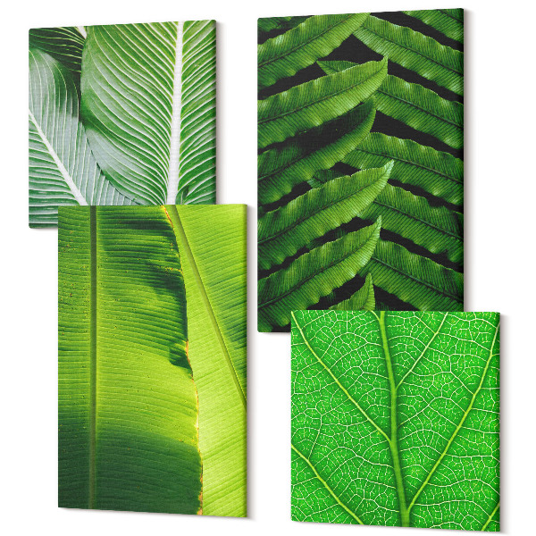 Sada obrazov na stenu kvadryptych Detailné zábery tropických listov