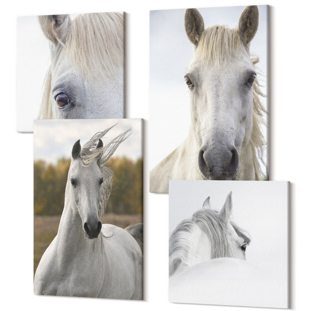 Sada obrazov kvadryptych Biele kone v rôznych pózach na prirodzenom pozadí