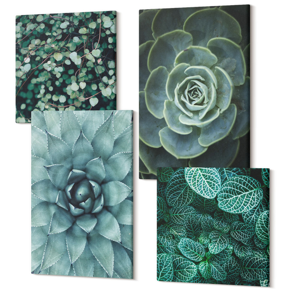 Sada obrazov kvadryptych Sukulentné rastliny v odtieňoch zelenej a tyrkysovej