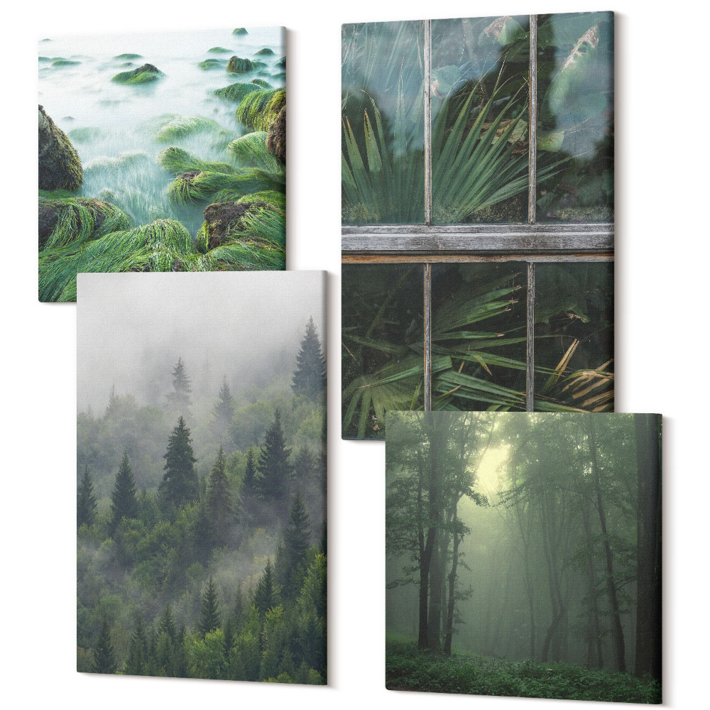 Sada 4 obrazov Les v hmle, breh rieky a skleník s rastlinami