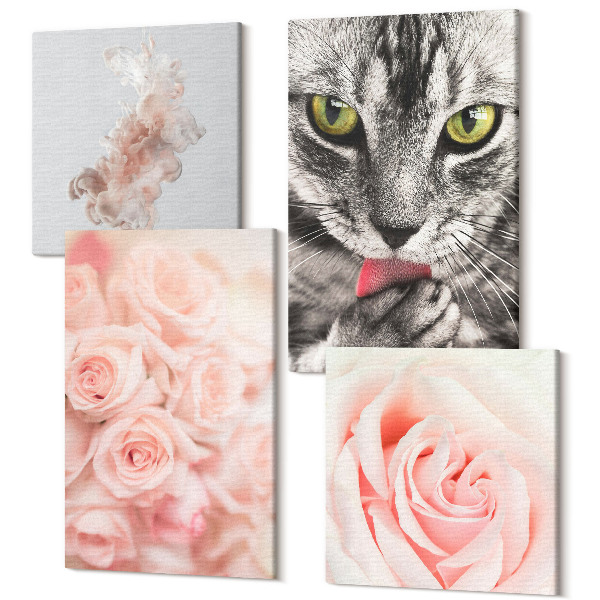 Sada obrazov kvadryptych Sivá mačka jemné ruže jemná abstrakcia