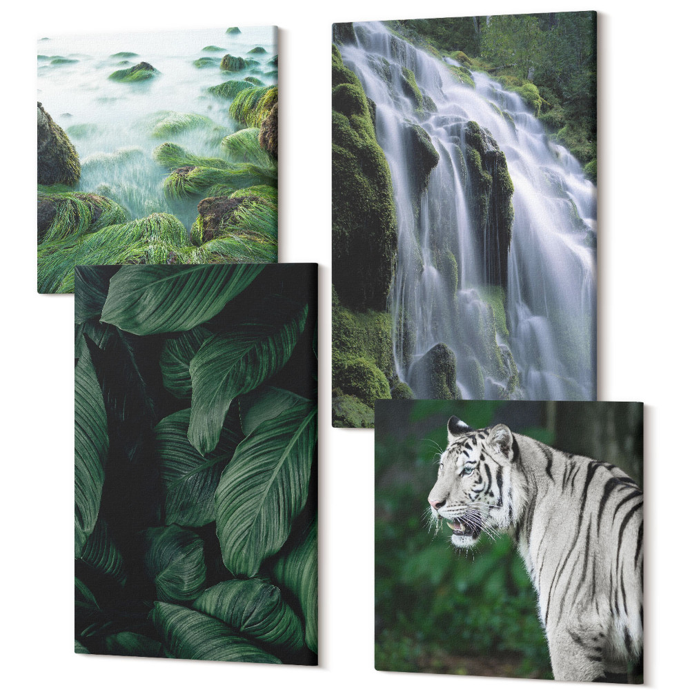 Sada obrazov kvadryptych Listy bieleho tigra a vodopád v prírodnom prostredí