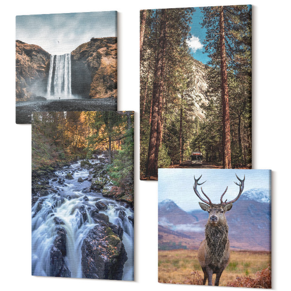 Sada 4 obrazov Vodopád v lese, hory a jelene v prírode