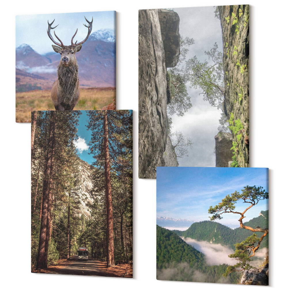 Sada obrazov kvadryptych Cesta v lese, hory a srnky v prírode