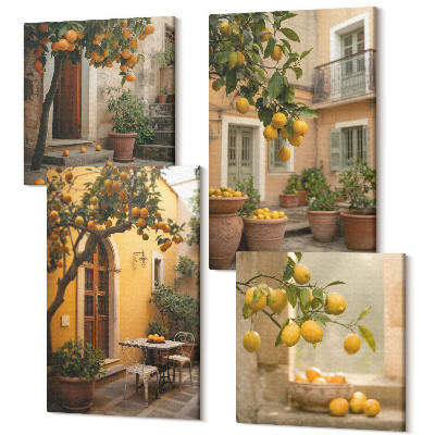Sada obrazov na stenu kvadryptych Záhrada s citrusovými stromami v slnečnom prostredí