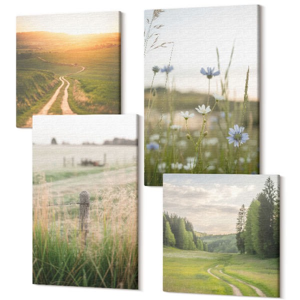 Sada 4 obrazov Prírodné krajiny s poliami a cestou na slnku